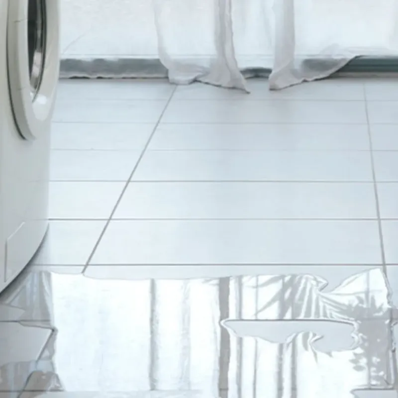 Appliance Leak Cleanup in Sun Lakes, AZ