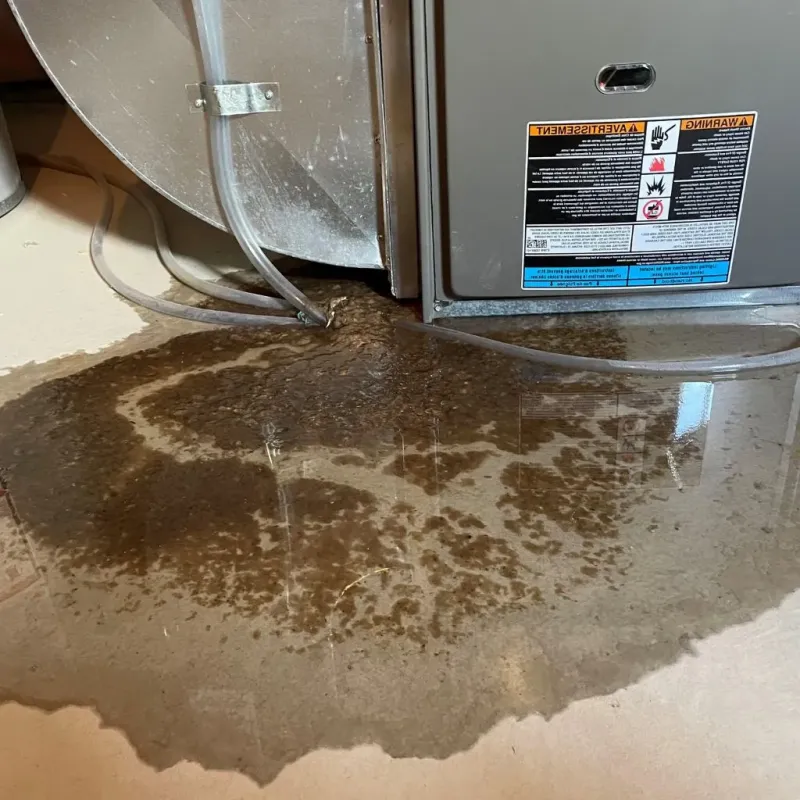 Pipe Burst and Leak Restoration in Sun Lakes, AZ
